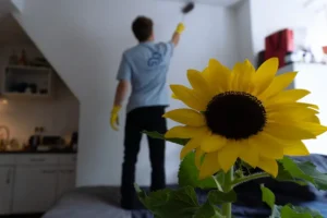 een close-up van een zonnebloem en iemand op de achtergrond aan het schoonmaken